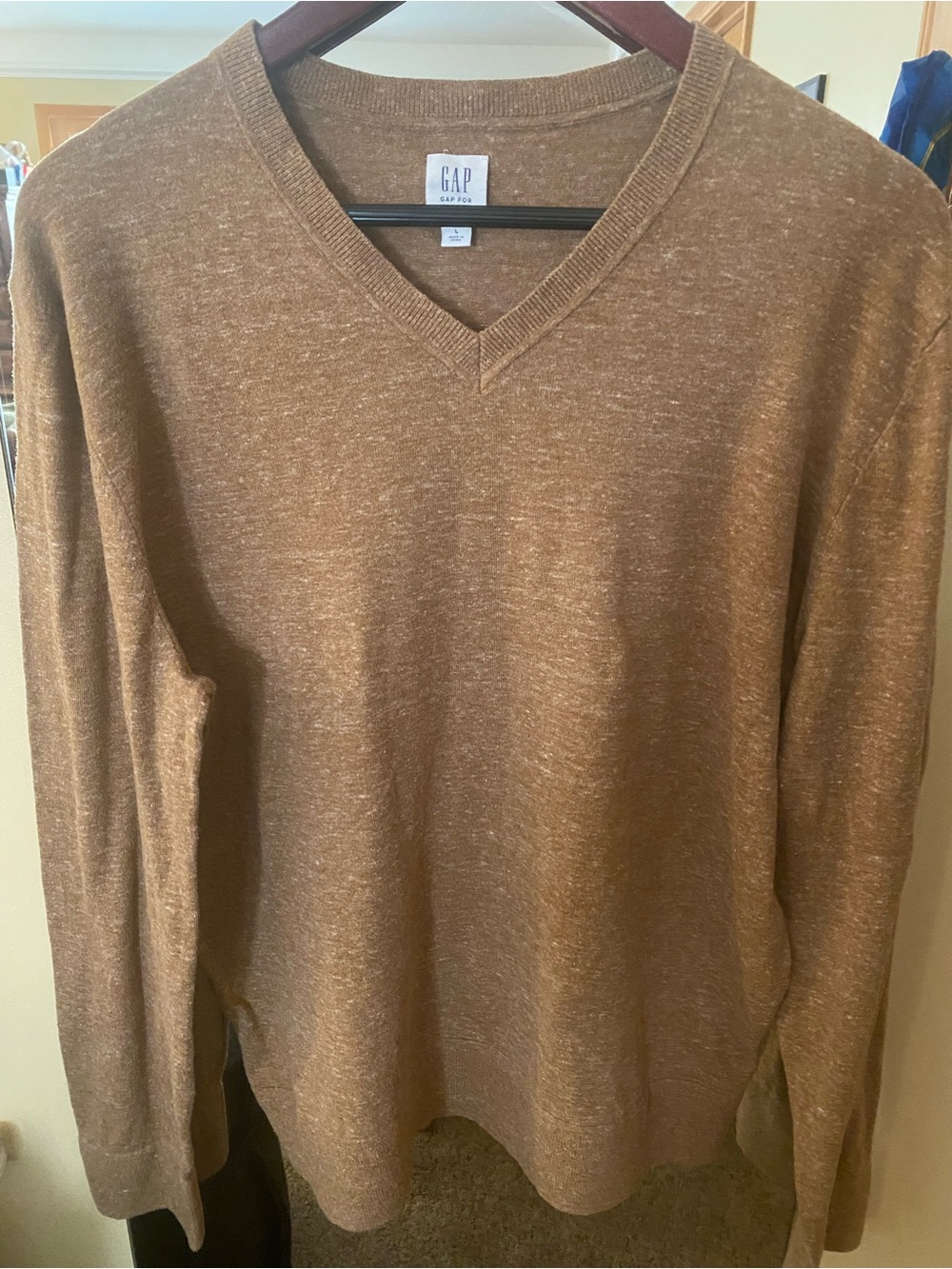 GAP Men's V-Neck Sweater in Heathered Brown